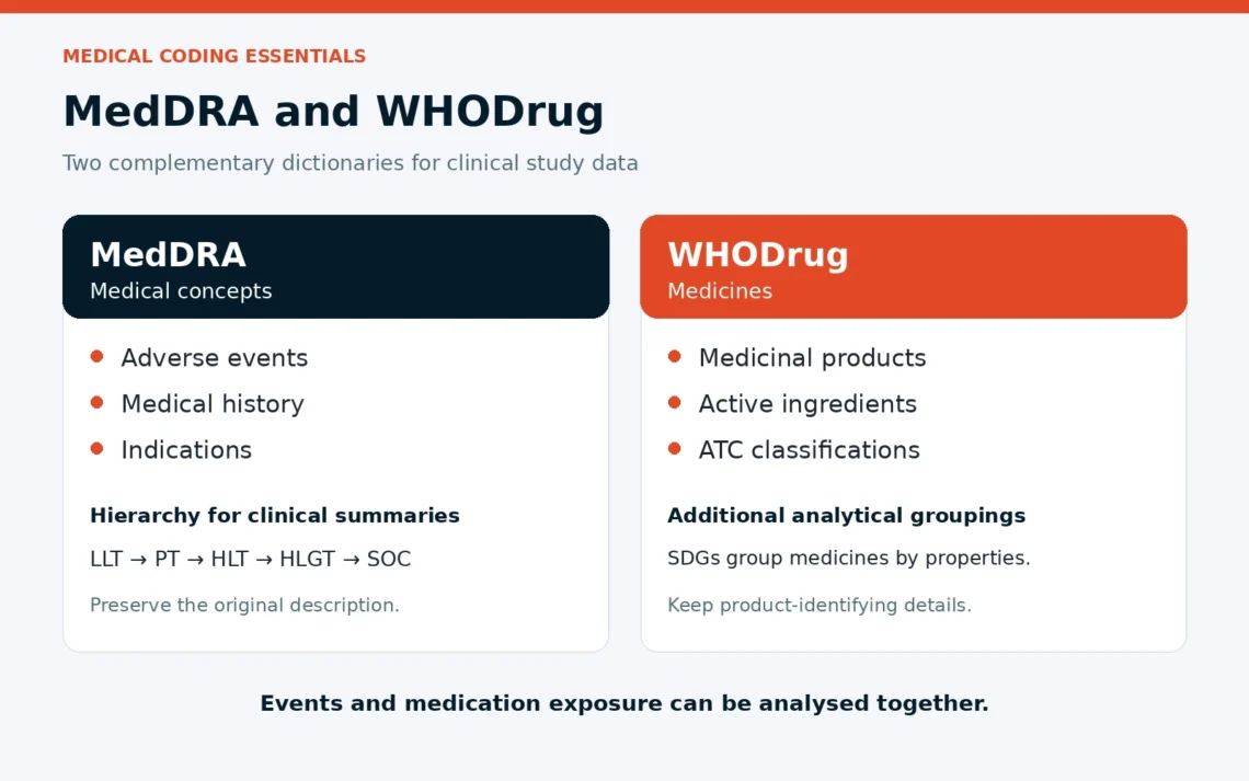 MedDRA–WHODrug